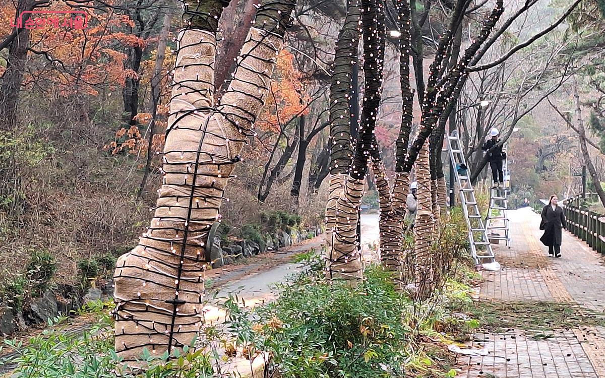 남산 둘레길 코스 추천 : 북측순환로 도시바람숲길 10개 정원_이미지 (1)